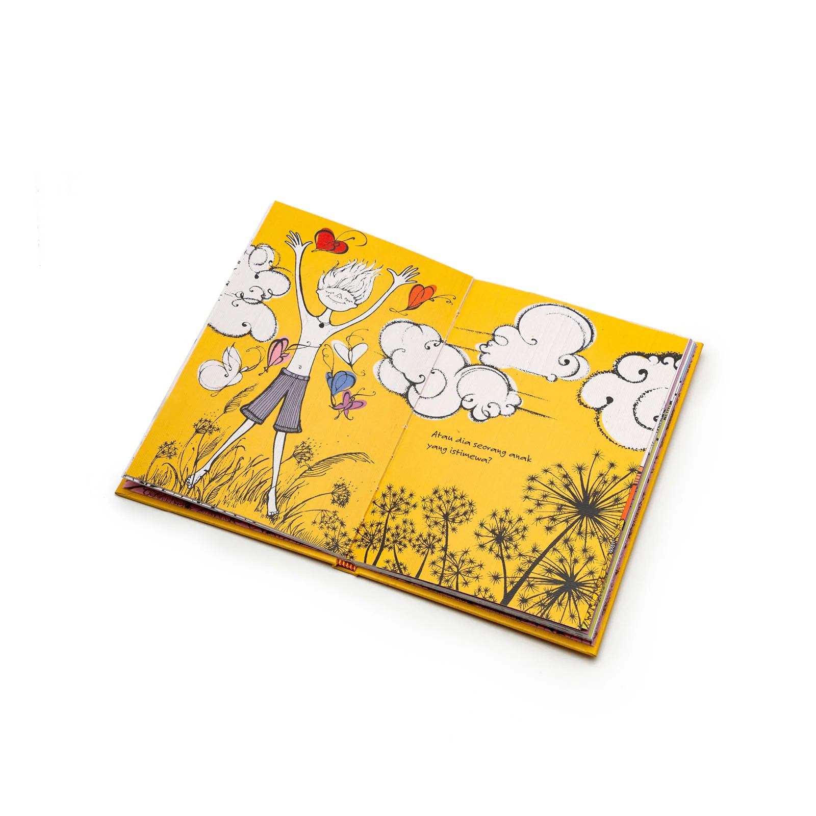 Book of Les Papillons de Victor - Image 6